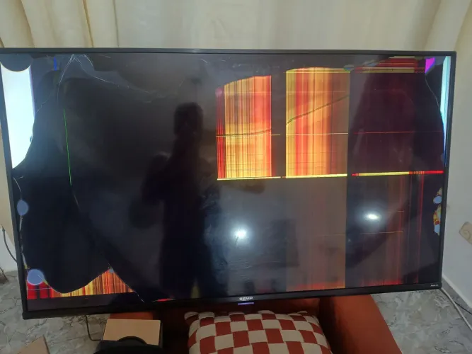 Tv 50 semp