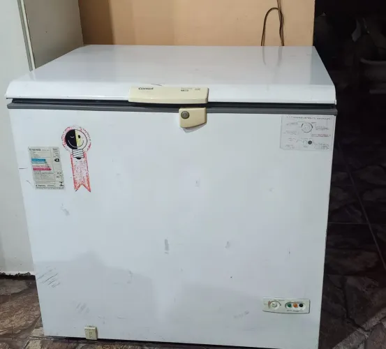 Freezer horizontal