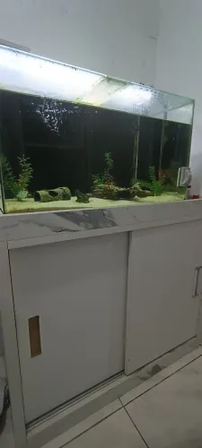 Aquário 100L completo.