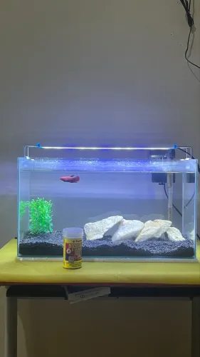 Aquário completo 25 Litros 