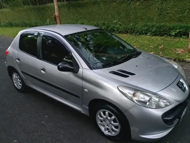 Peugeot 207 XR 1.4 Flex 8V 5P 2010