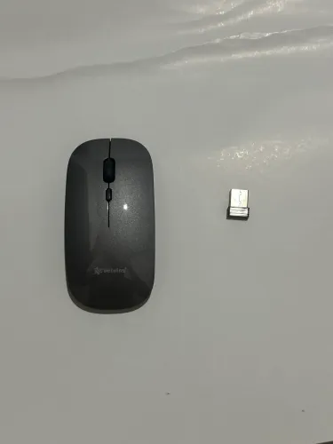 Mouse Bluetooth peining