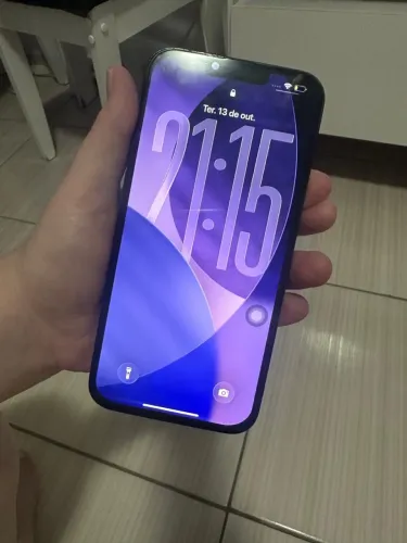 13 pro Max