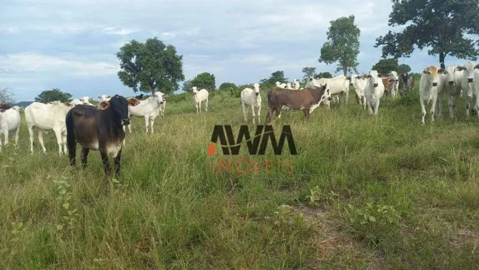 Fazenda à venda, 2032800 m² por R$ 5.880.000,00 - Zona Rural - Faina/GO