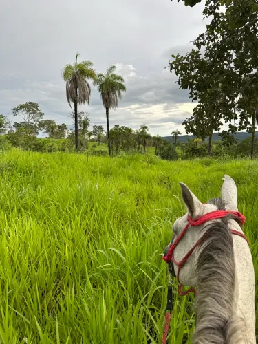 Fazenda em Barrolandia 30 alqueires 
