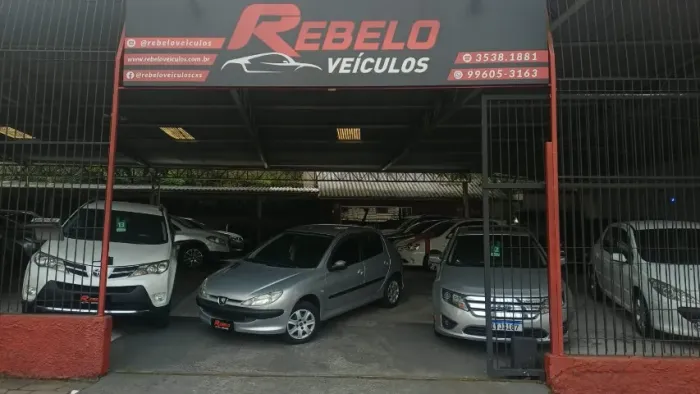 Peugeot 206 Presence 1.4/ 1.4 Flex 8V 5P 2006