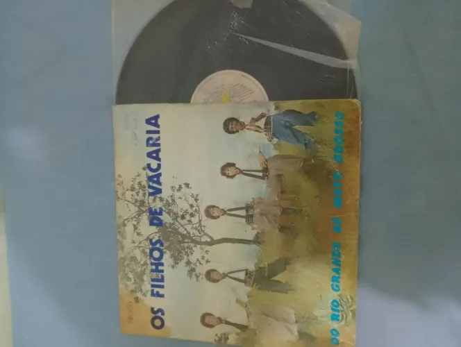 Vinil os filhos da vacaria