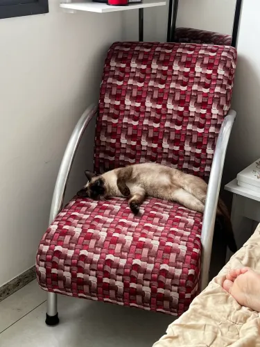 Poltrona vermelha (gata não inclusa)