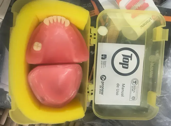 Modelo odontológico para estudo e demonstração