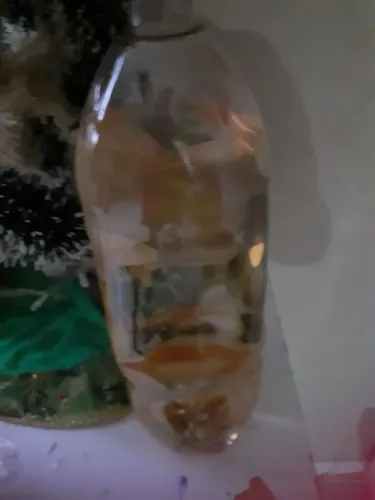 Vendo Garrafa chá de crajiru