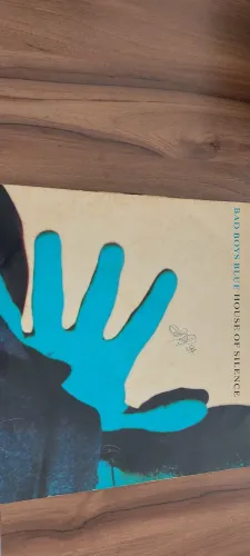 VENDO DISCO DE VINIL 