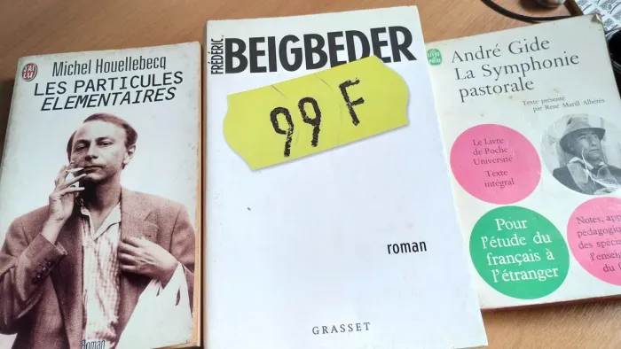 Boa literatura em francês