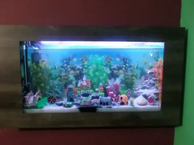 Aquário Completo de Embutir na Parede