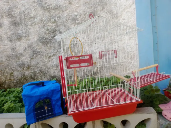 Viveiro para calopsitas mansas, periquitos e agapornes + bolsa de transporte 