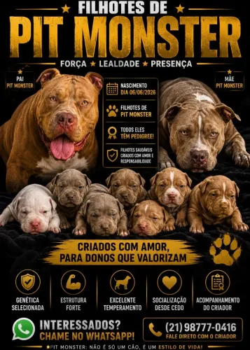 Filhotes de pit monster