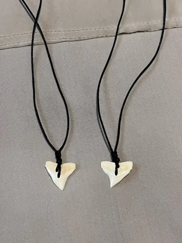 Colar Dente Tubarão natural (Leia a Descriçao)