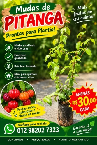 Mudas frutíferas Prontas para o plantio
