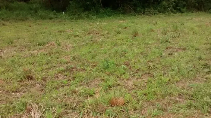 Vendo 1.000 mts no Bairro Jurupara Piedade