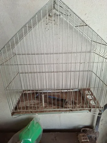 Gaiola