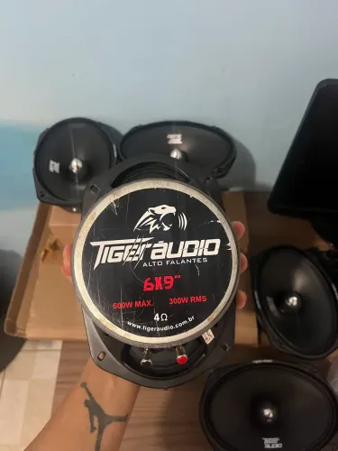 69 TIGGER 300 RMS