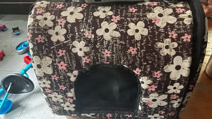Transportadora de Pet