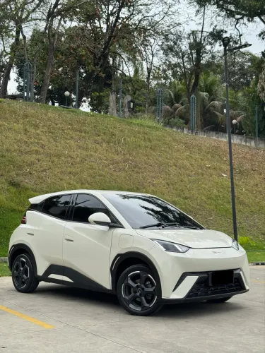 BYD Dolphin Mini (Elétrico) 2024