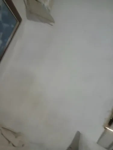 Vendo pia