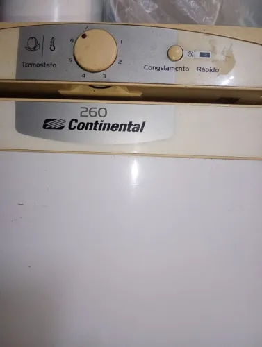 Vendo freezer Continental 110v funcionando perfeitamente 
