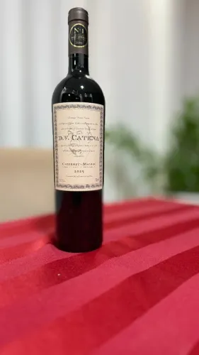 vinho dv catena 2025