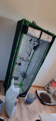 Estufa grow kit cultivo