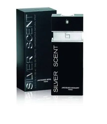 Perfume Silve Scent 100ml