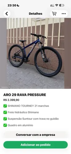 BICICLETA RAVA ARO 29