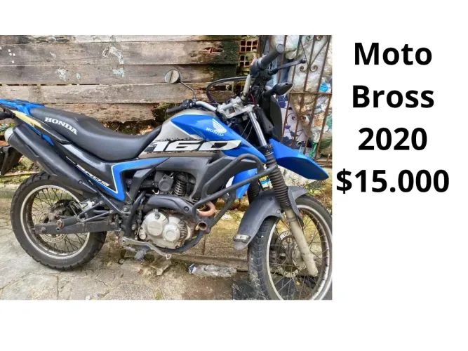 Moto Boa 