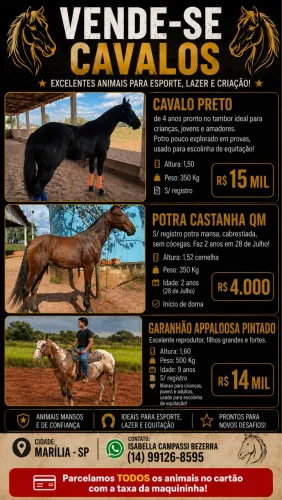VENDO POTRA, CAPADO PRETO E GARANHÃO APPALOSSA