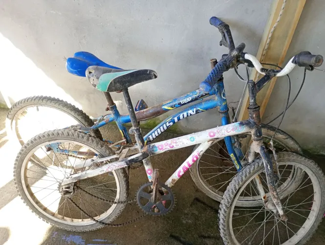 Bicicleta