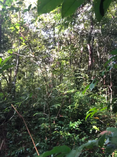 Vende-se terreno na ilha de Santana
