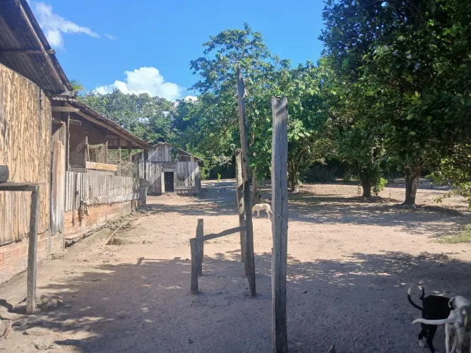 SITIO AS MARGENS DO RIO TAPAJÓS