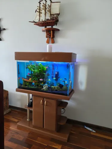 Aquário 100 litros