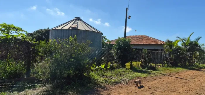 Sitio de 24.200 m2 no correio de freitas apucarana