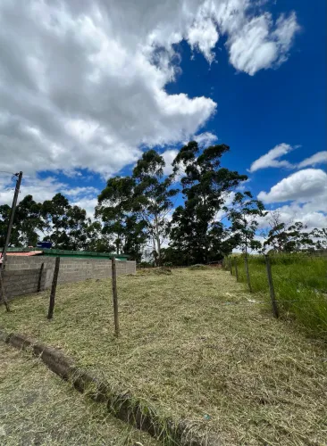 Lote em Benfica 230m2 Aceito trocas