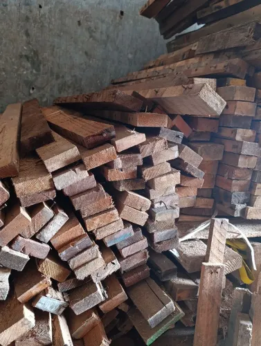 Pernamancas de 1,10M $15 reais a dúzia 