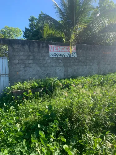 Animais agropecuários