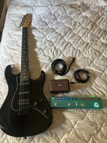 Guitarra Tagima Tw Serie completa