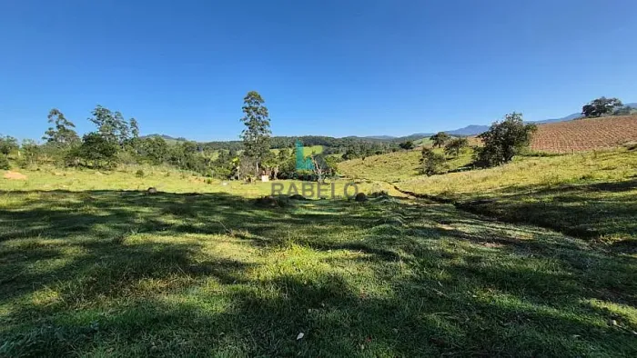 SÍTIO FORMADO PRÓXIMO DO ASFALTO À VENDA EM LAGOINHA-SP