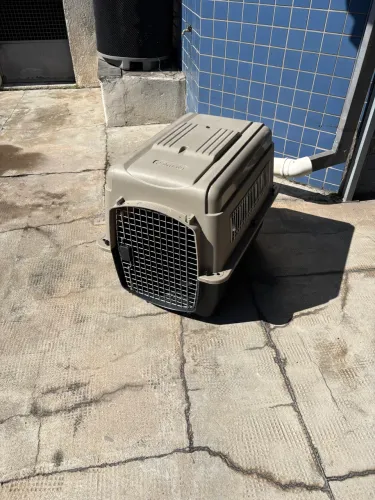 Caixa Transporte Pet 70*50*60