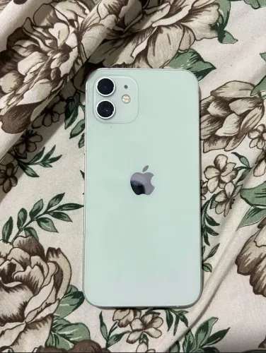 iPhone 12 Conservado 