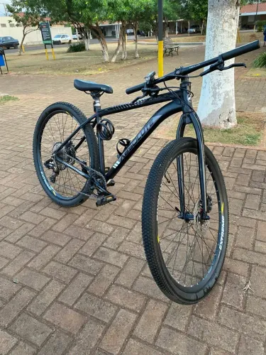 Bicicleta aro 29 Absolute Wild