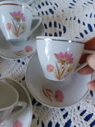 Jogo de café porcelana pozzani