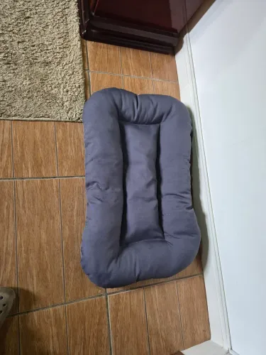 Cama para Pet grande usada