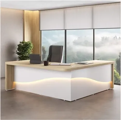 MESA EXECUTIVA